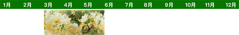 flower-time-list