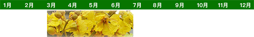 flower-time-list