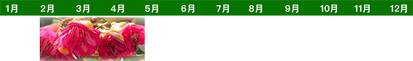 flower-time-list